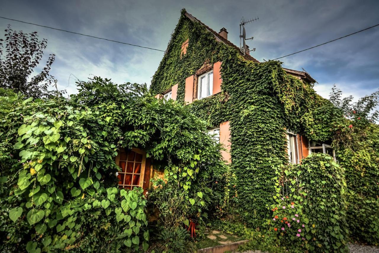 Villa ❊ Au Murmure De L'Eau Au Coeur De L'Alsace ❊ Ebersheim Exterior foto