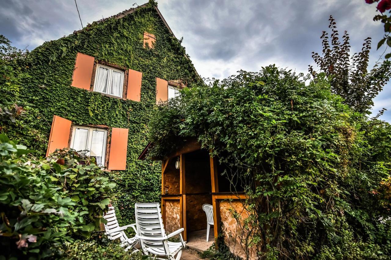 Villa ❊ Au Murmure De L'Eau Au Coeur De L'Alsace ❊ Ebersheim Exterior foto